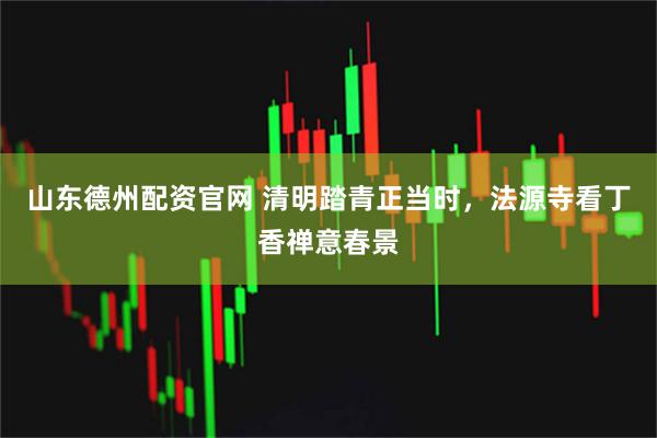 山东德州配资官网 清明踏青正当时,法源寺看丁香禅意春景