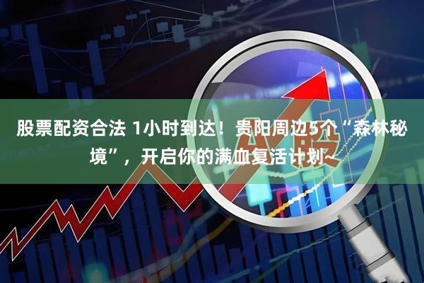 股票配资合法 1小时到达！贵阳周边5个“森林秘境”，开启你的满血复活计划~